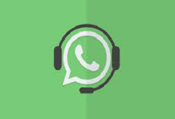 whats app