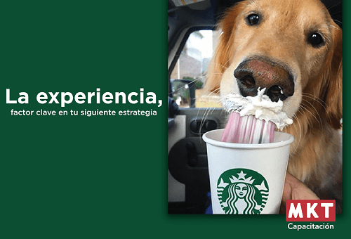 Experiencia