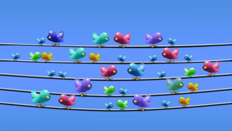 Twitter: ya puedes combinar imágenes, vídeos y GIF´s en un mismo tweet