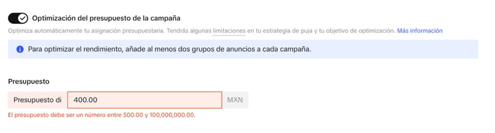 TikTok Ads presupuesto